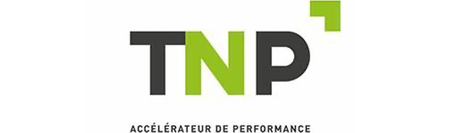 Logo TNP CONSULTANTS