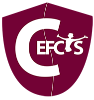 Logo CEFSYS