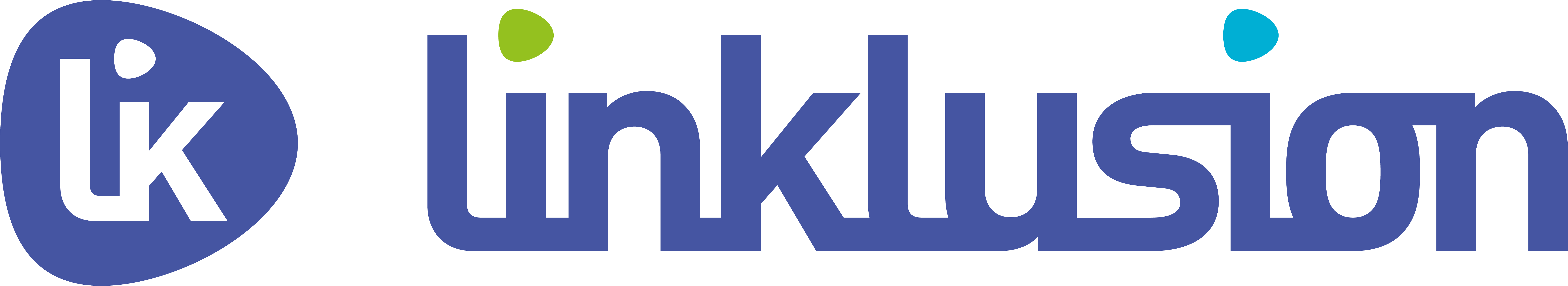 Logo LINKLUSION